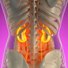kidney health