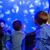 adventure aquarium kaleidoscope cove