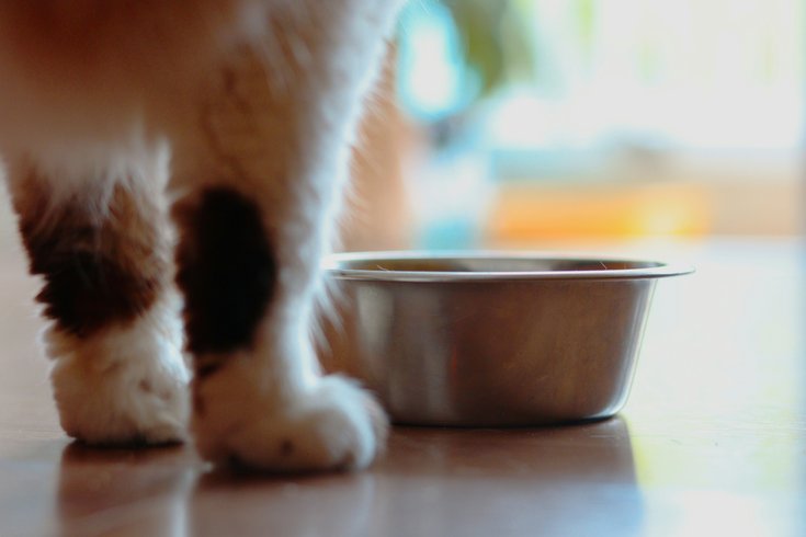 blue ridge beef pet food recall