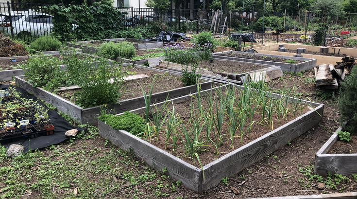 Community Gardens Philly
