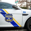 Kensington Drug Bust Animals