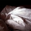 Philadelphia bed bugs