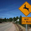 092816_Deervideo