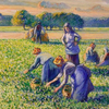  Camille Pissarro La Cueillette des Pois