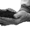 03202015_Soil