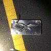 bristol borough plate hit and run