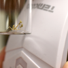 mantis bug cbp main